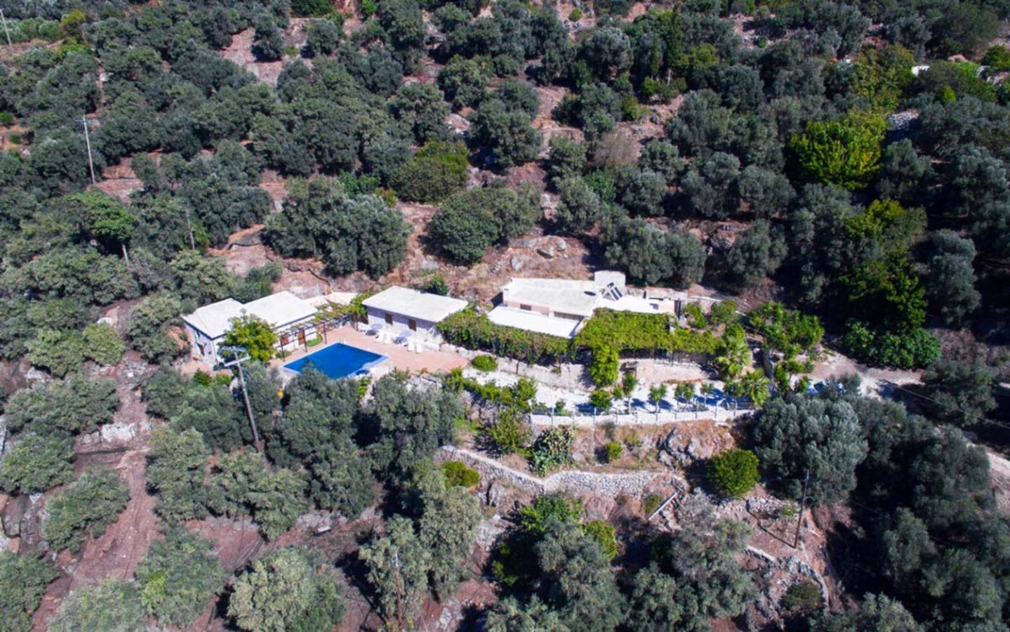 Villa Talos Paleóchora Extérieur photo